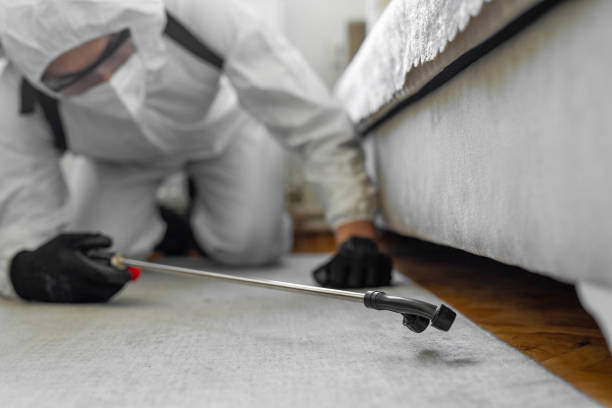 Professional Bed Bug Control technician working in Rose Hill, NC