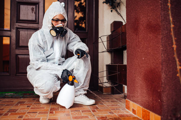 Reliable Bed Bug Control contractor in Rose Hill, NC by Nex Pest Control